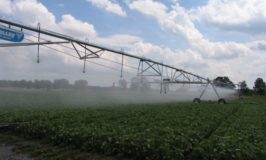 Irrigating soybeans on the KBS LTER Resource Gradient Experiment