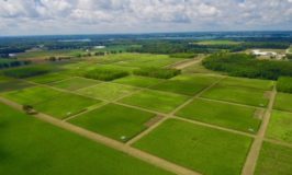 Treatment Plots at the KBS LTER