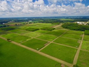 Treatment Plots at the KBS LTER